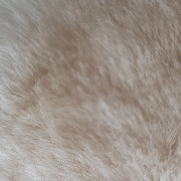 Australian Cloud Nine Genuine Shipskin Shearling Fur Winter Hat Ivory Sherpa L main image 5